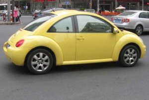 new beetle.jpg