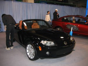 auto show 2006 041.jpg