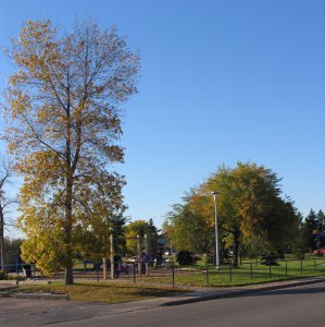 Park in roadside-1.jpg