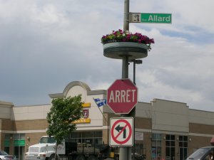 STOP SIGN 060.jpg