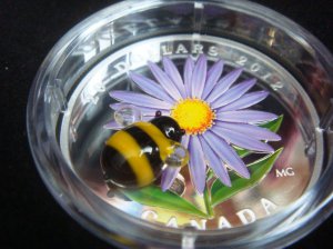 小蜜蜂2.JPG
