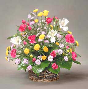 BasketFlower.jpg