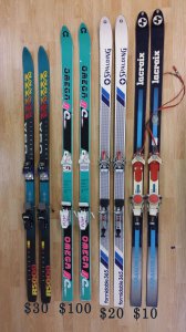 Skis4.jpg