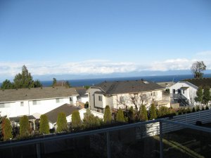 View from living room and kitchen.JPG