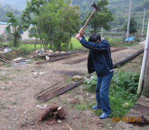 cutting firewood2.png