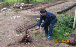 cutting firewood3.png