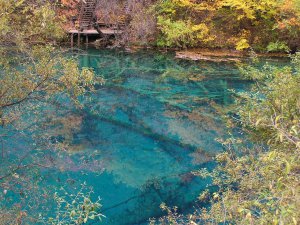 jiuzhaigou-kushu.jpg