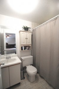 master bath 01.jpg