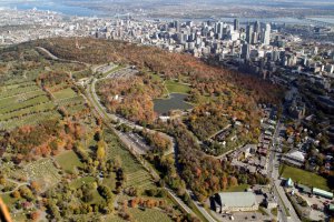 mont-royal_vue_1.jpg