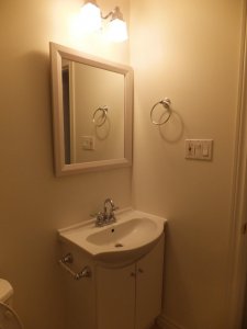 bathroom vanity.jpg