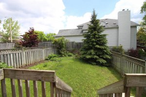 backyard 001.jpg