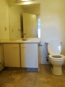 bathroom2-1.jpg