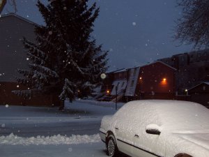 First Day Snow 001.jpg