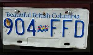 car plate.jpg