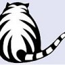 stripedcat