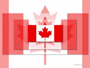 加拿大国旗.jpg