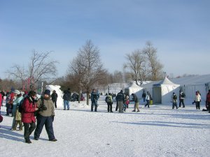 蒙城冰雪节 014.jpg