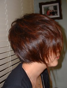 Ray's hairshow-007.jpg