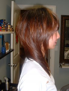 Ray's hairshow-012.jpg