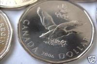 LuckyLoonie2006.jpg