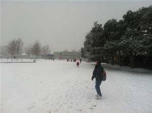 下雪了 018_副本.jpg