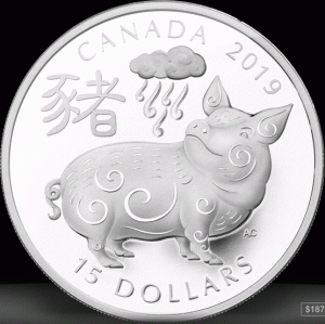 2-2019-Year of the Pig.gif