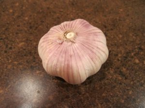 garlic.jpg