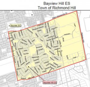 bayview hill.jpg