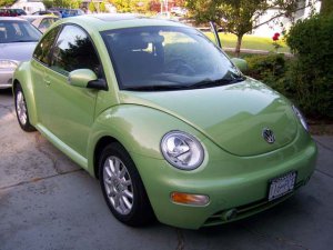 beetle01.jpg