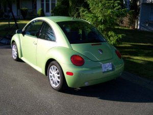 beetle02.jpg