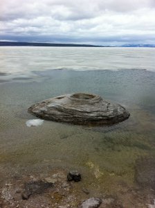 yellow stone 434 (598x800).jpg