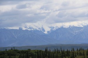 Alaska 198 (1024x683).jpg