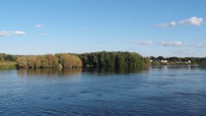 Resize of P9030343.JPG