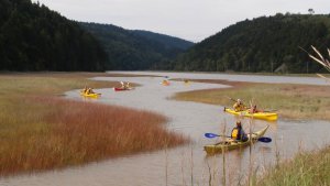 Resize of P9040495.JPG