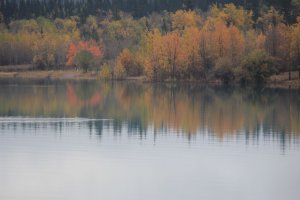 SLAVE LAKE AND YOHO PARK 072 (1024x683).jpg