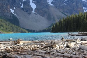 SLAVE LAKE AND YOHO PARK 023 (1024x683).jpg