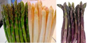 asparagus.jpg