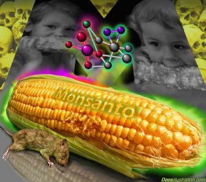 GM%20Monsanto.jpg