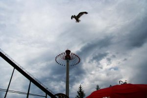 b_IMG_0944_WindSeeker.jpg