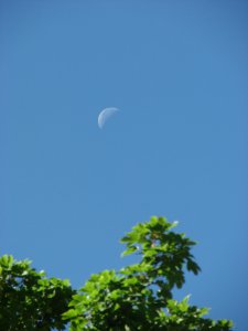 20120712大白天拍下的月亮_副本.JPG