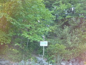 Nanoose Bay,通往海滩，628.JPG