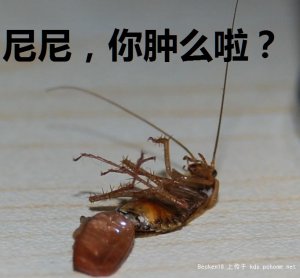 尼尼 ，你肿么啦？.jpg