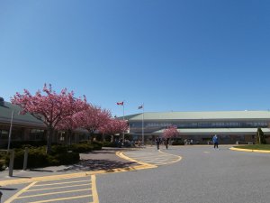 Dover Bay Secondary School_副本.jpg