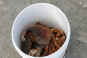 IMG_7281 (Large).JPG