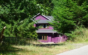 cute purple house.jpg