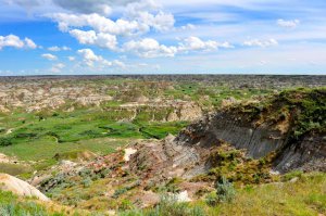 Dinosaur Provincial Park0.jpg