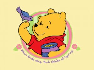 Winnie the bear.jpg