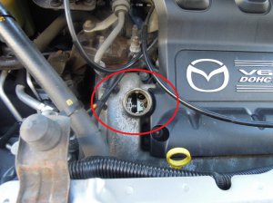 Engine-oil-cap.JPG