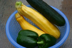 2014_07_10_b_IMG_4586_pepper_cucumber_zucchini.jpg