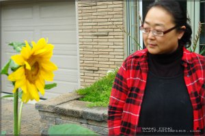 Ying and Sunflower1.jpg
